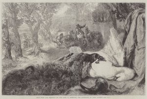 Cygne mort et paon - John Gilbert